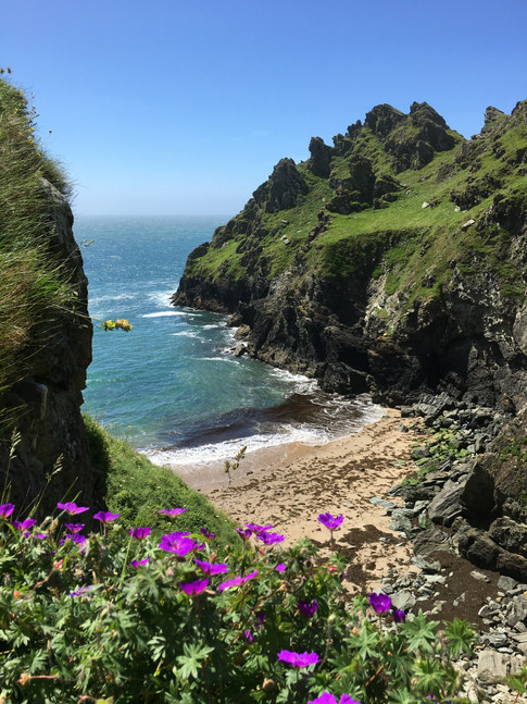 Maceley Cove