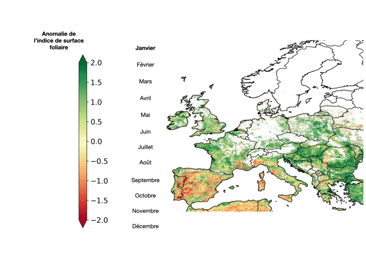 Anomalie de l’indice de surface foliaire pour l’année 2019 par rapport à la période de référence 1998-2014, marquée par une période importante de sécheresse. L’état de la végétation est utilisé comme un marqueur de stress hydrique et de l’impact de cet événement sur la végétation (données SPOT-VGT pour la période 1998-2014 et données PROBA-V pour l’année 2019) (©Copernicus Climate Change Service(C3S)/VITO)