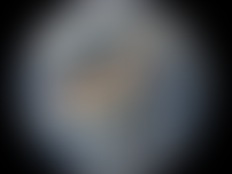 VUE DEPUIS L'ESPACE : LA TERRE, UNE PLANÈTE AUX MULTIPLES VISAGES 