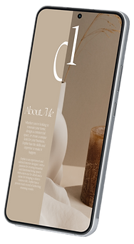 Website packages - for website (6).png