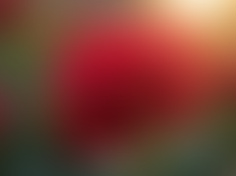 Why a Surge of Love is Essential in Our World Today