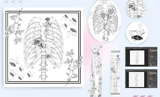 Screen Shot 2023-09-16 at 12.25.51 PM.png