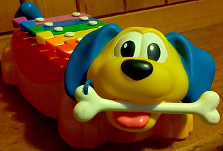 Chien xylo de face IMG_20241202_081936.jpg