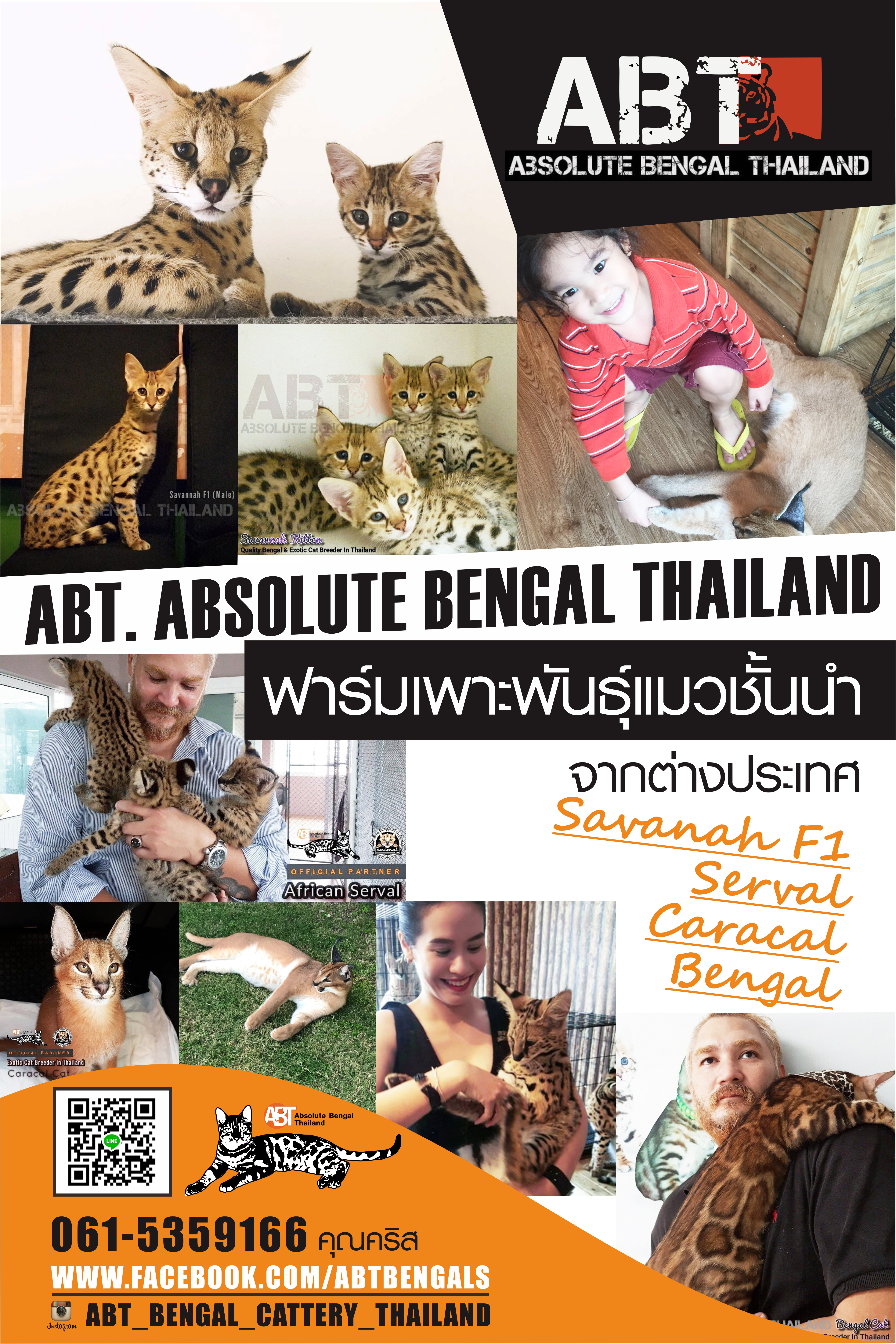 รูปภาพนักเขียน: Admin