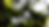 Background Blur 