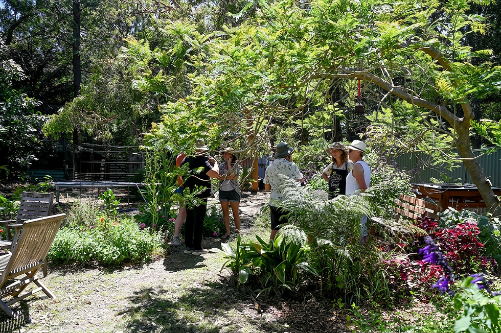 Permie Life Killcare Visitors plus L-R faces Sandi Pointner, Anna Trigg, Susanne Rix chatt