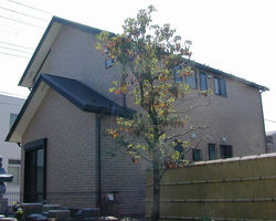 二世帯住宅 施工事例6