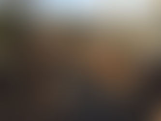 夕やけ小やけふれあいの里 木道が完成