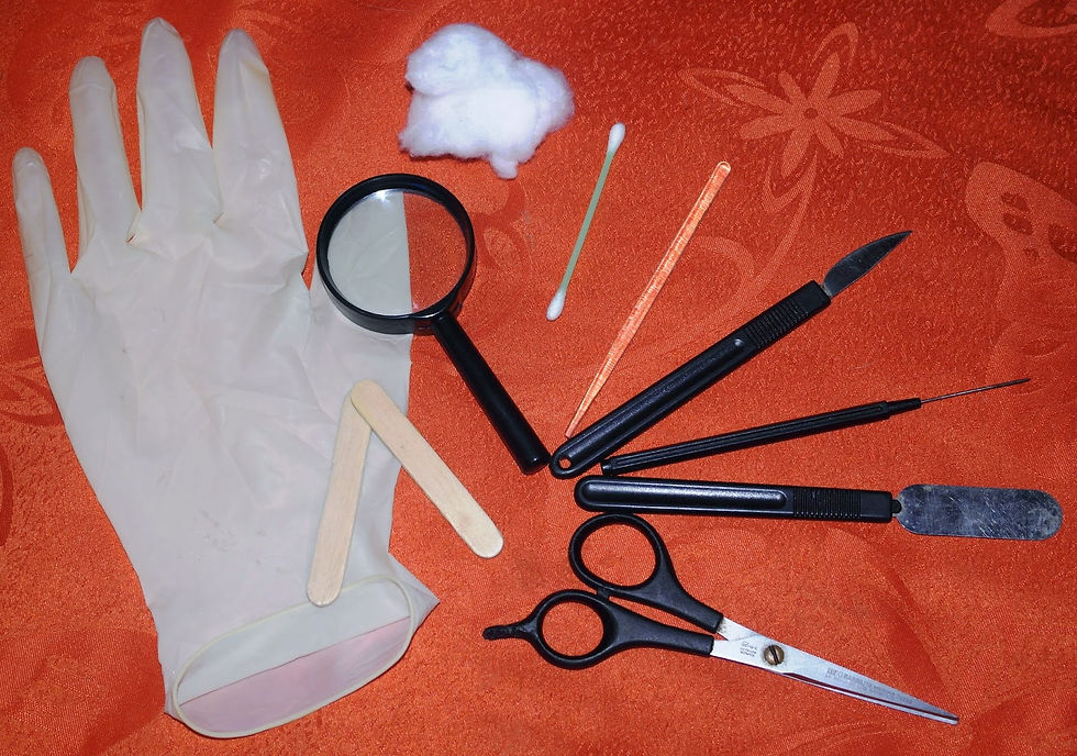 Científico en proceso