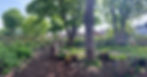 IMG_7381.jpeg