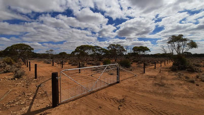 Rural fencing contractor Driver Enterprizes Eudunda.jpg