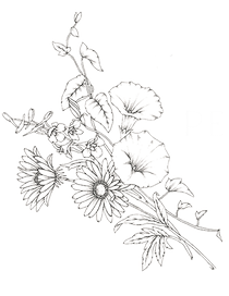 perpetual blume