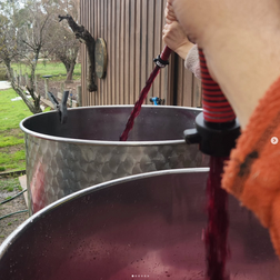 Phase Three Wines Barossa