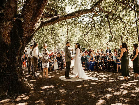 forest wedding venue