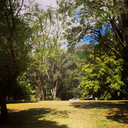 Lewana Camping Balingup_Hidden Creek hidden caravan (Custom)