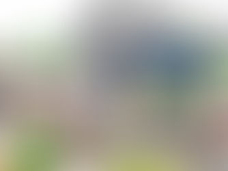 বারুইপুরে বিস্ফোরণে ক্ষতিগ্রস্ত বাড়ি