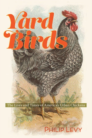 Yard Birds.webp