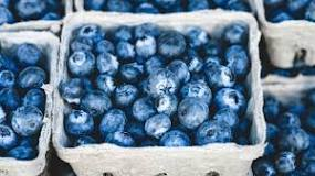 National Blueberry Day