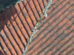 Drone Services - Roof Inspections - Building - Construction