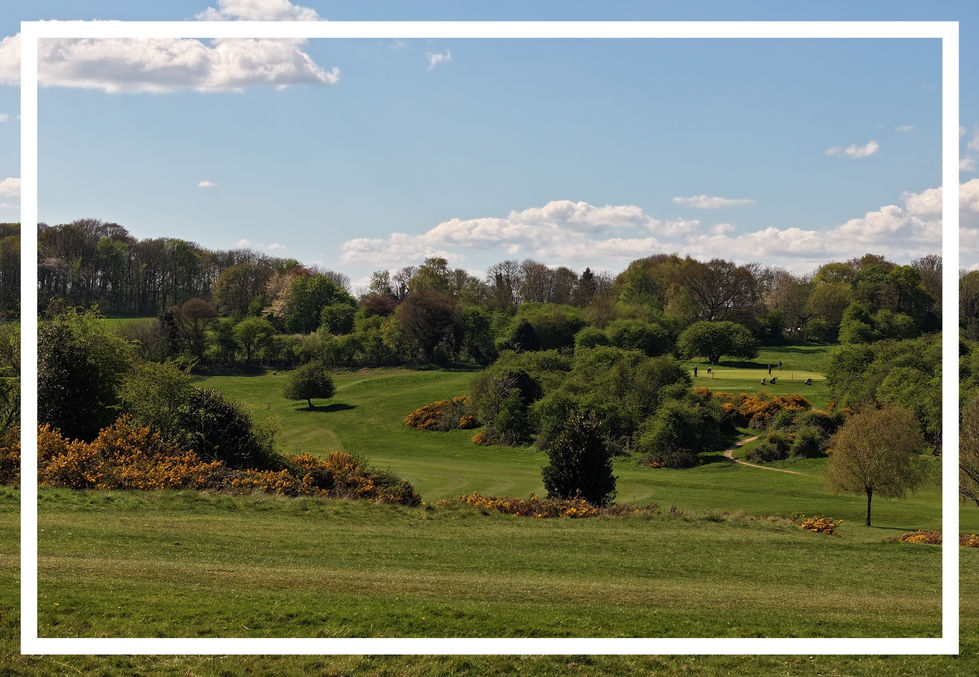 1. B&ER Golf Club 14 Tee Shot