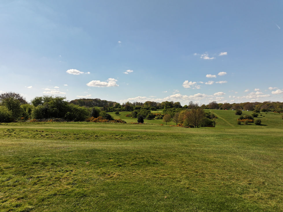 2. B&ER Golf Club 14 Tee Shot