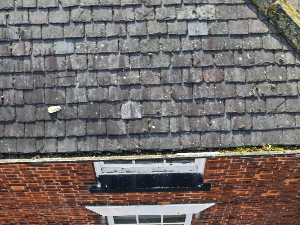 10. Roof Inspection for potential property buyer -Discovered new roof will be needed!