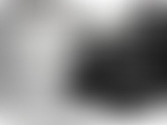 2025 11/3 RISE MUSICCONCERT