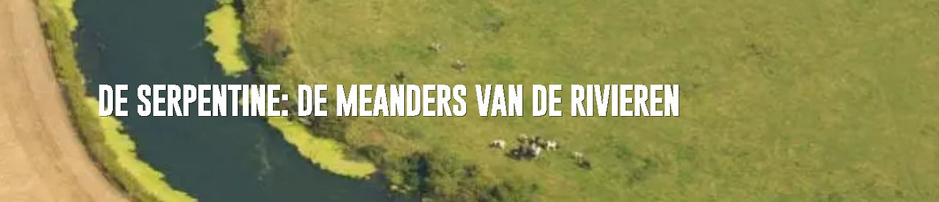de serpentine banner.jpg