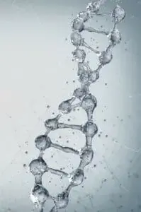 ADN-molecules-eau-199x300.jpg.webp