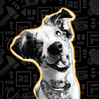 Headshots NEW-11.png