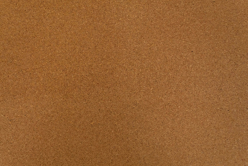 josephine-bredehoft-KsAo8ouBn8A-unsplash.jpg