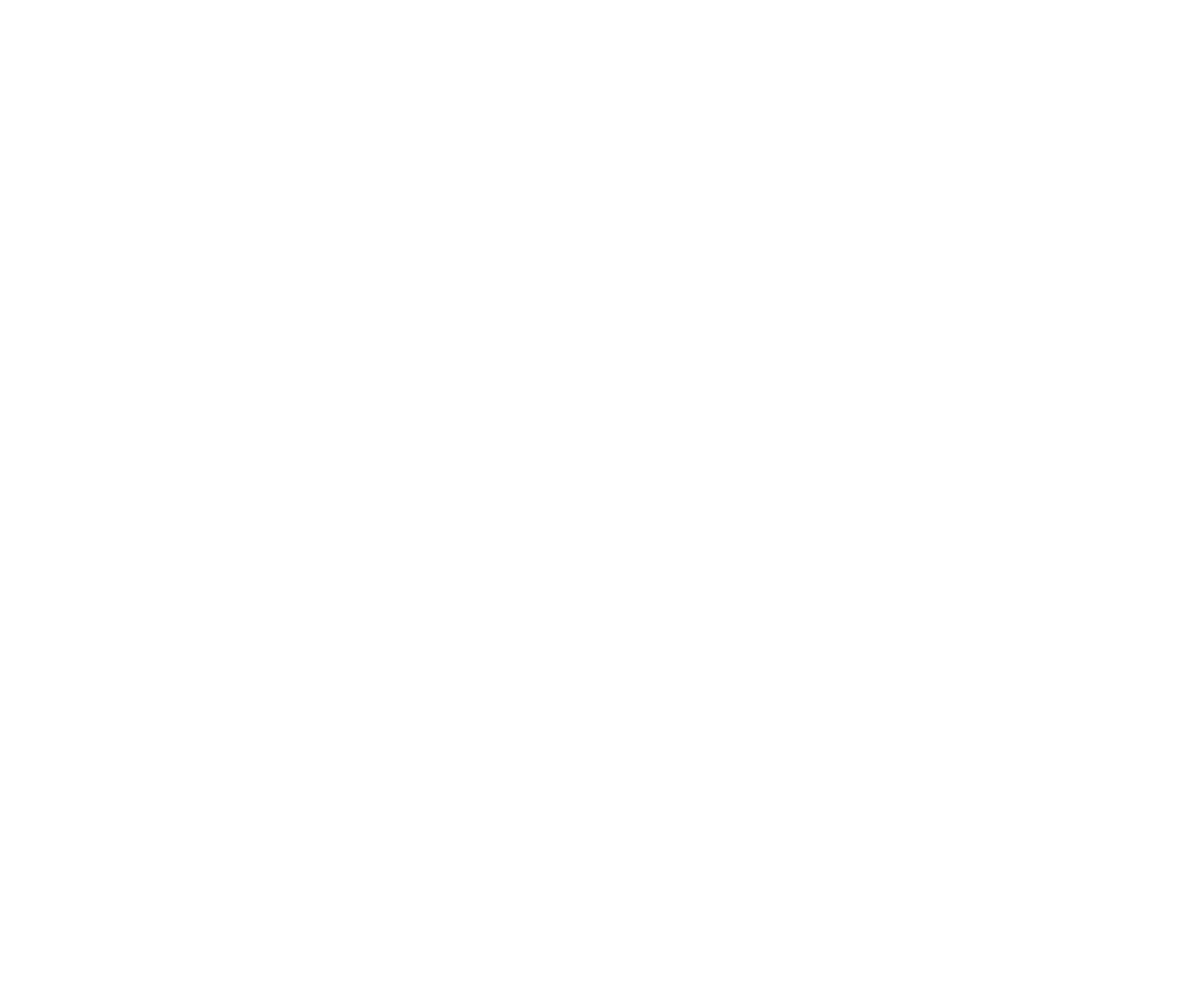 FP Primay White Logo.png