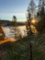 Photo credit: Adeline Burkett