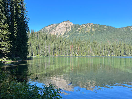 Why We Avoid Thinking About Death (and What That Costs Us)