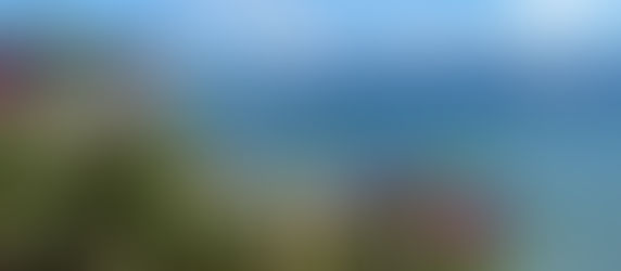 Comfort in Death Literacy