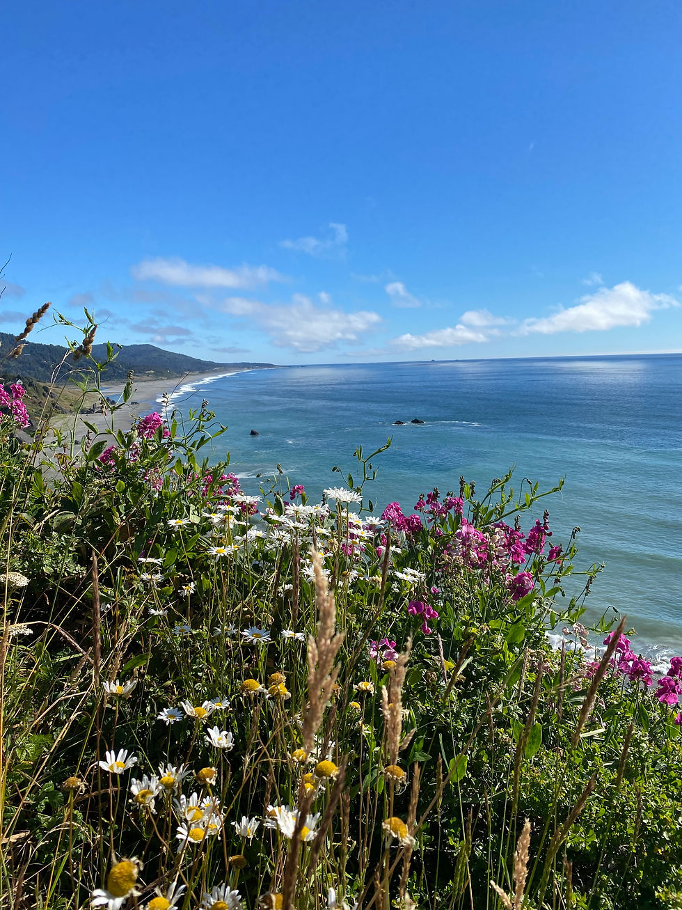 Comfort in Death Literacy