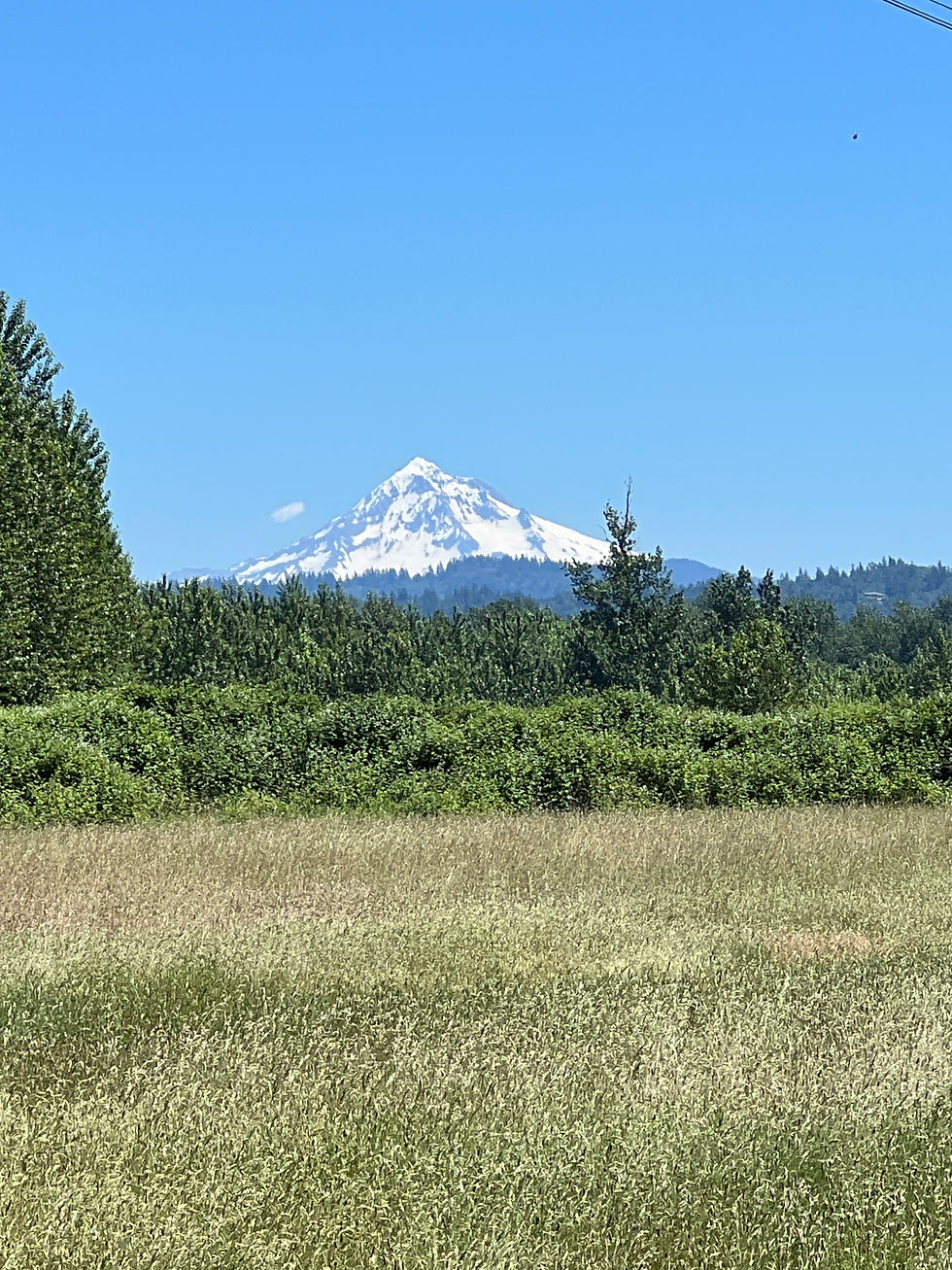 Photo Credit: Adeline Burkett