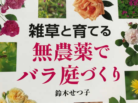 〇〇と育てる無農薬でバラ庭づくり