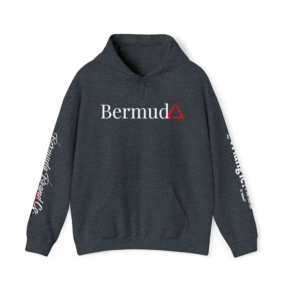 Thumbnail: "Bermuda Triangle Signature" - Heavy Blend™ Hoodie