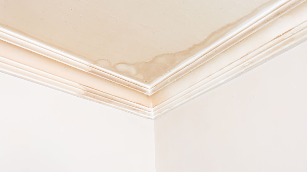 Dokter Kit inspecteert een plafondlekkage met infraroodcamera om de bron van het vocht zonder schade op te sporen.