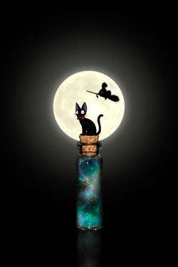 kiki's delivery