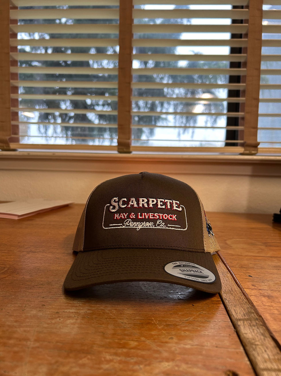 Thumbnail: 5 Panel Curved Bill Classic SnapBack