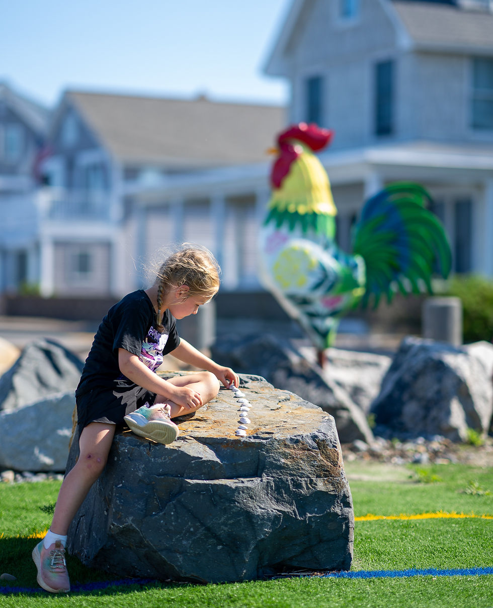 Pyper LeBlanc, 6, organizes shells on a rock near a 6 foot tall metal rooster in Wells, Maine.
