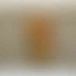 Frank Coletti, owner of Coletti's Pizza in Biddeford, Maine on Monday, March 30, 2026.