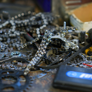 Apex Youth Connection