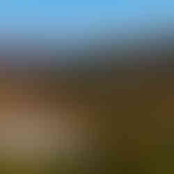 Graham Overlook on the Kancamangus Highway New Hampshire