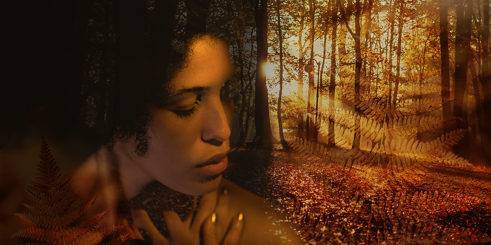 Autumn Equinox Workshop