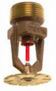 Safety-Protection-Plan-Company-sppc (9).