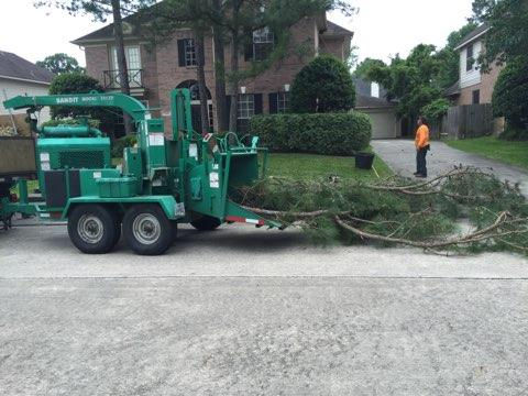 Tree mulching tree brush grinding servic