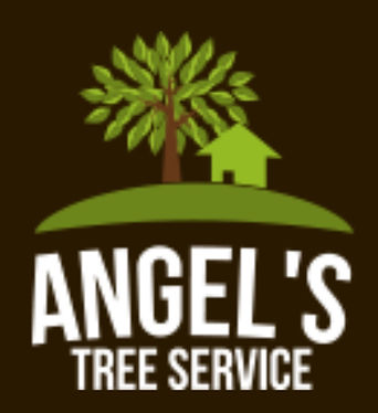 Angels tree service spring tx.jpeg